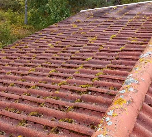 Lavar och svamp på tak som takvårdarna tar bort